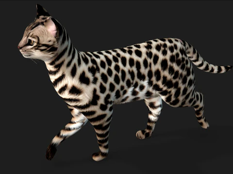 LeopardCat-A2 3D 모델