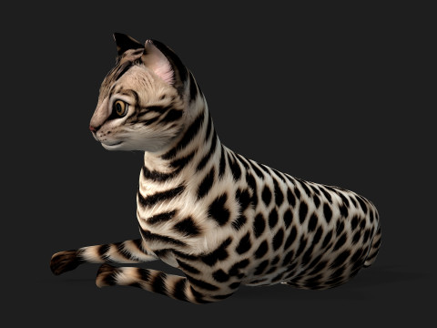 LeopardCat-A2 3D Model