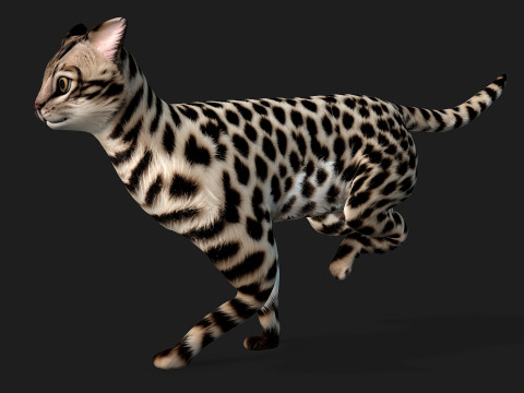 LeopardCat-A2 3D Model