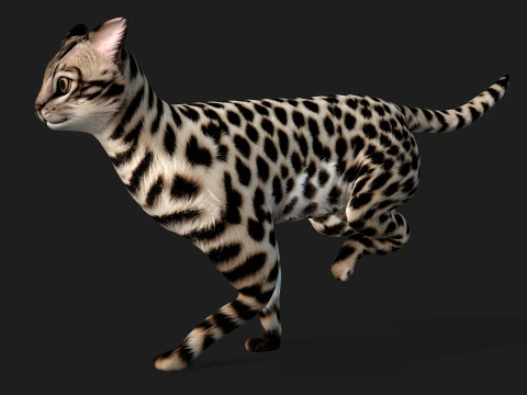 LeopardCat-A2 3D 모델