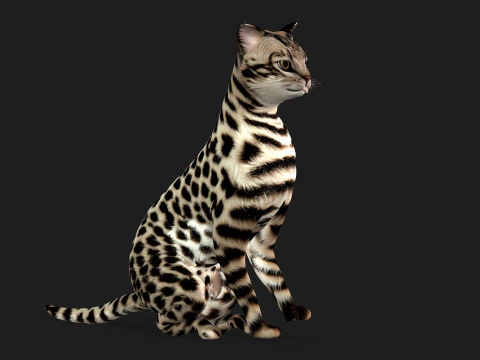 LeopardCat-A2 3D 모델