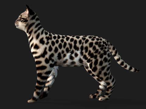 LeopardCat-A2 3D Model