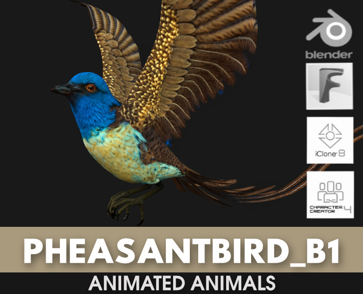 PheasantBirdB1 3D-Modell .c4d .max .obj .3ds .fbx .stl .blend 