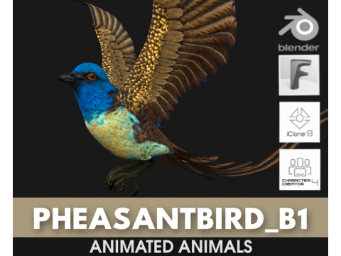PheasantBirdB1 3D-Modell