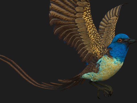 PheasantBirdB1 3D-Modell