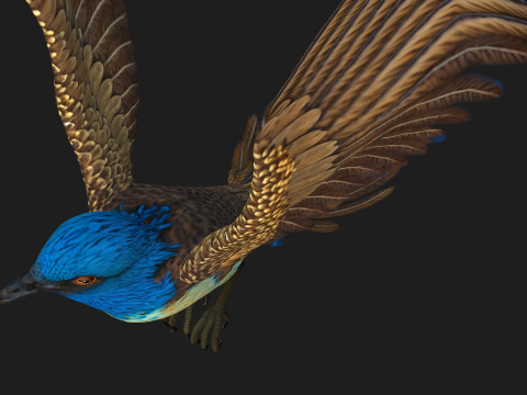 PheasantBirdB1 3D-Modell
