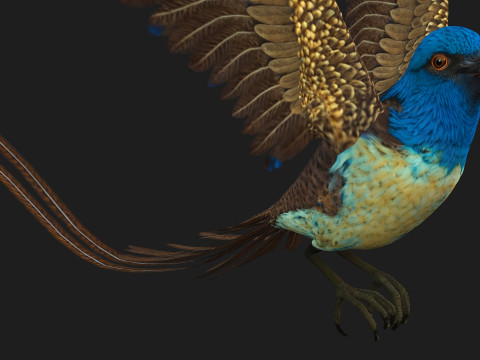 PheasantBirdB1 3D-Modell