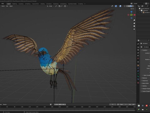 PheasantBirdB1 3D-Modell