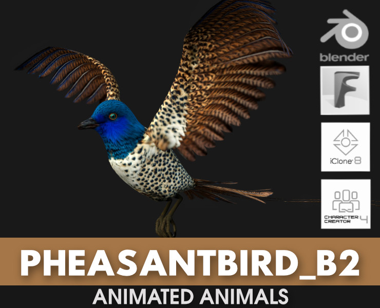 PheasantBirdB2 3D 模型 .c4d .max .obj .3ds .fbx .stl .blend 
