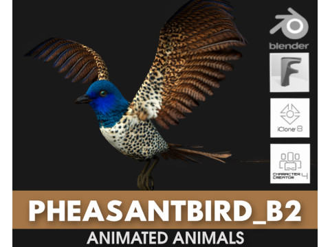 PheasantBirdB2 3D-Modell