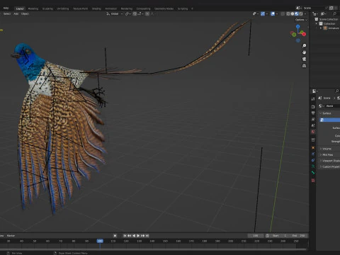 FagianoUccelloB2 Modello 3D