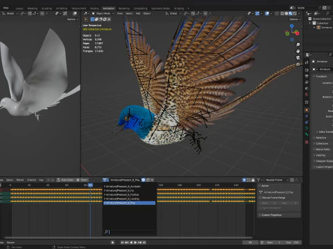 FagianoUccelloB2 Modello 3D