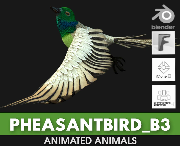 FasanVogelB3 3D Modell .c4d .max .obj .3ds .fbx .stl .blend 