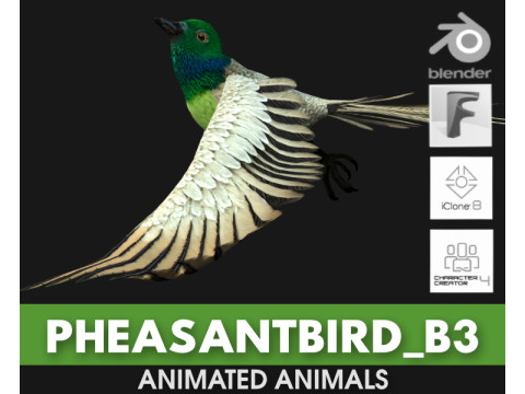 PheasantBirdB3 3D-Modell