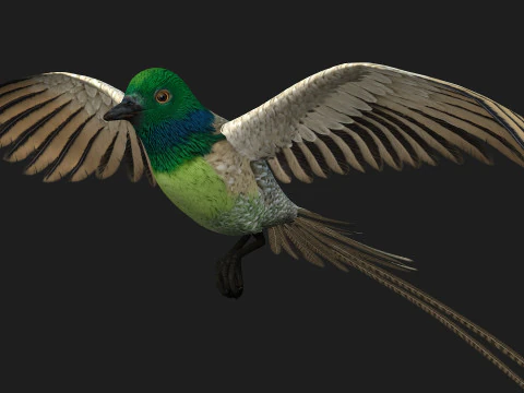 FasanVogelB3 3D Modell