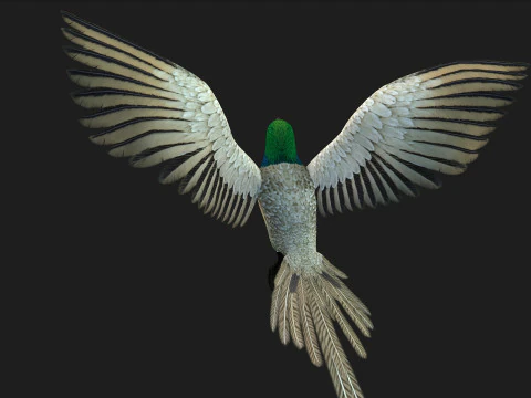 FasanVogelB3 3D Modell