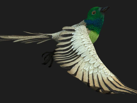 FasanVogelB3 3D Modell