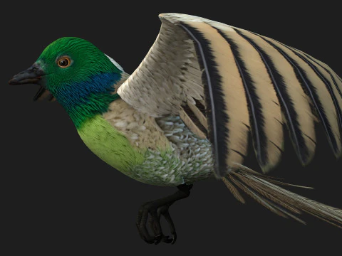 FasanVogelB3 3D Modell