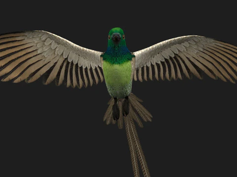 FasanVogelB3 3D Modell