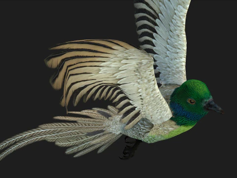 FasanVogelB3 3D Modell