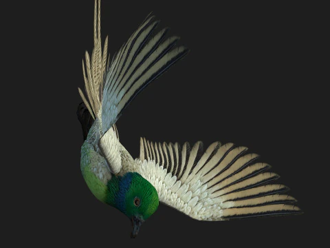 FasanVogelB3 3D Modell