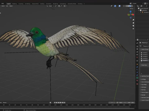 FasanVogelB3 3D Modell