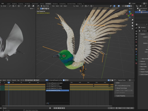 PheasantBirdB3 Modèle 3D