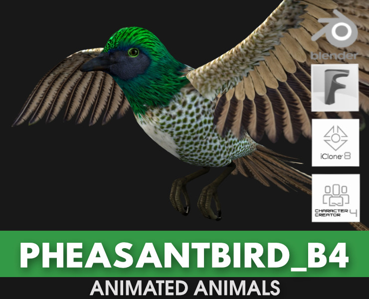 PheasantBirdB4 Modèle 3D .c4d .max .obj .3ds .fbx .stl .blend 