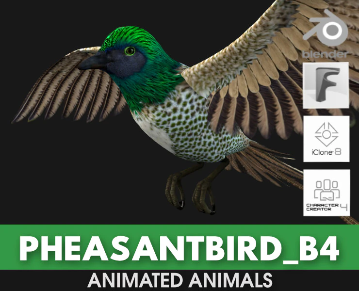 FasanVogelB4 3D Modell .c4d .max .obj .3ds .fbx .stl .blend 