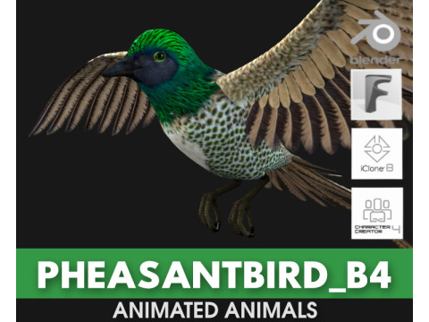 PheasantBirdB4 3D-Modell