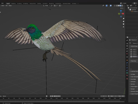 PheasantBirdB4 Modèle 3D