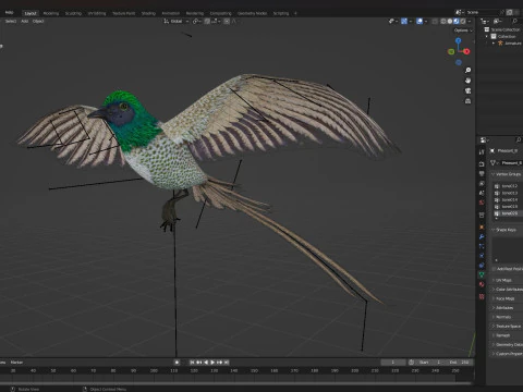 FasanVogelB4 3D Modell