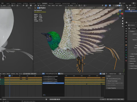 FasanVogelB4 3D Modell