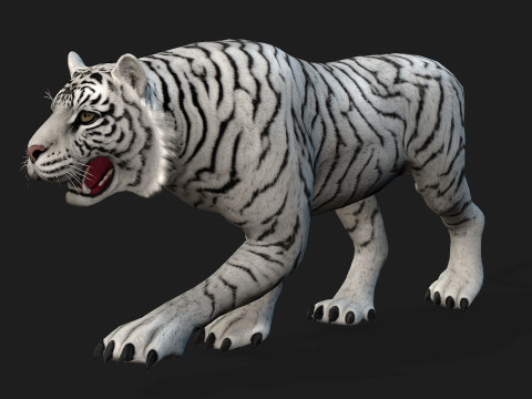 TigerA2 Modello 3D