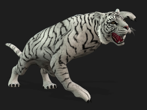 TigerA2 Modello 3D
