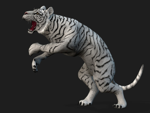 TigerA2 Modello 3D