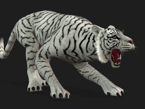 TigerA2 Modello 3D
