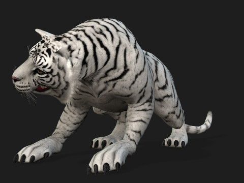 TigerA2 Modello 3D