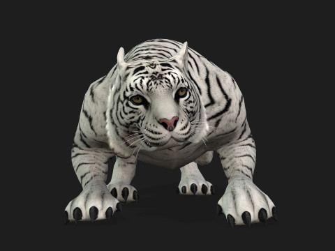 TigerA2 Modello 3D