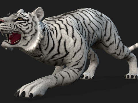 TigerA2 Modello 3D
