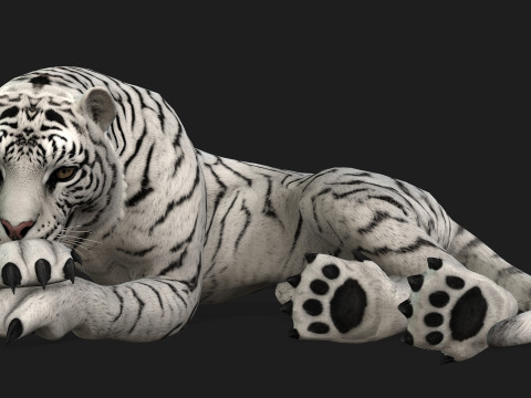TigerA2 Modello 3D