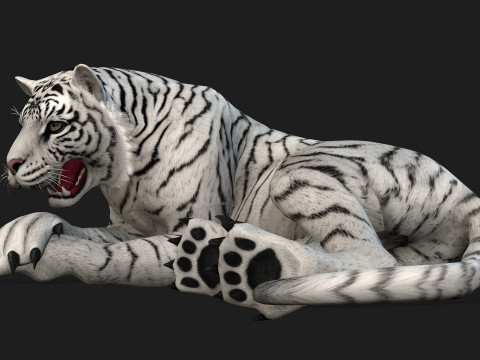 TigerA2 Modello 3D