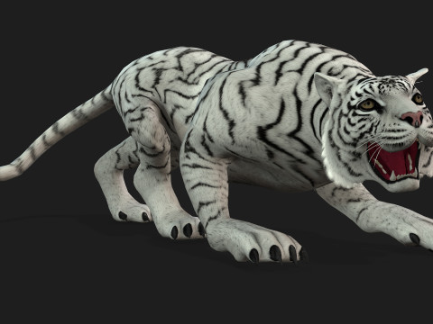 TigerA2 Modello 3D