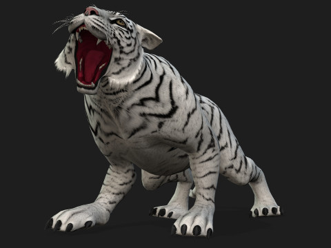 TigerA2 Modello 3D