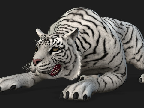 TigerA2 Modello 3D