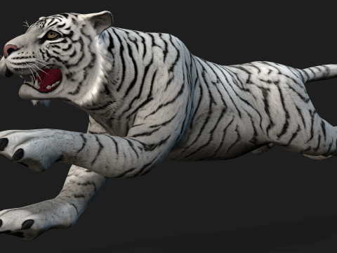 TigerA2 Modello 3D