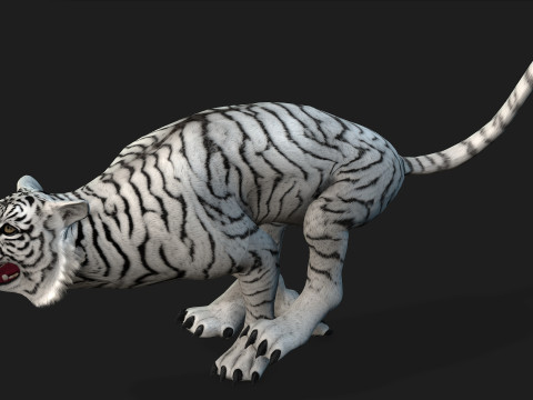TigerA2 Modello 3D