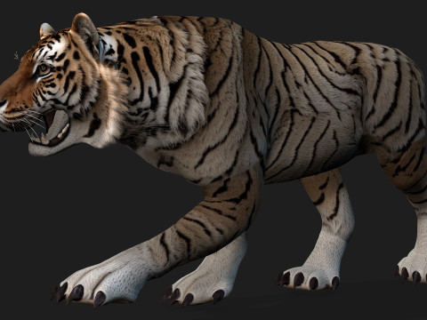 TigerA3 3Dモデル
