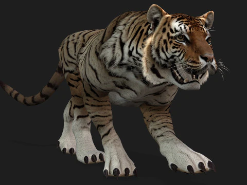 ТигрА3 3D Модель