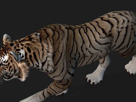 TigerA3 3Dモデル